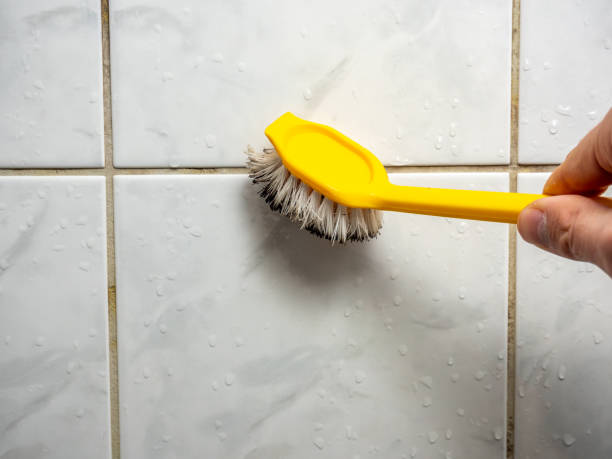Best Toxic Mold Removal  in Point Clear, AL