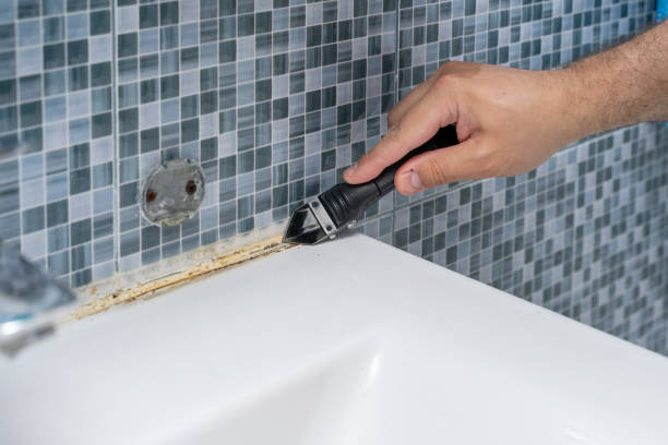 Best Certified Mold Removal  in Point Clear, AL