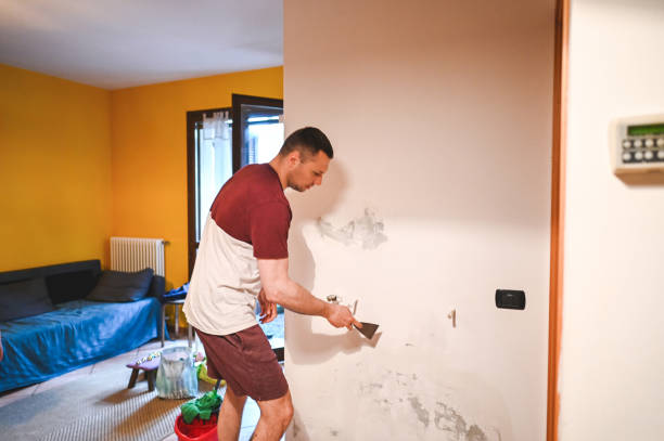 Best Crawl Space Mold Removal  in Point Clear, AL